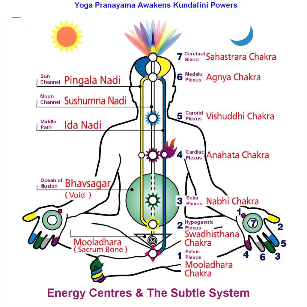 prakriti-dosha-defined-ayurveda-spirit-an-easy-way-to-learn